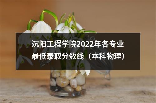 沉阳工程学院2022年各专业最低录取分数线(本科物理)