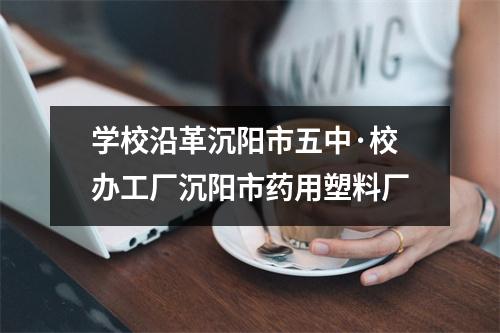 学校沿革沉阳市五中·校办工厂沉阳市药用塑料厂