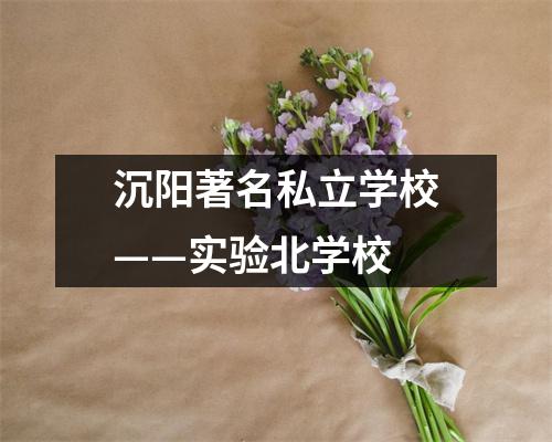 沉阳著名私立学校——实验北学校