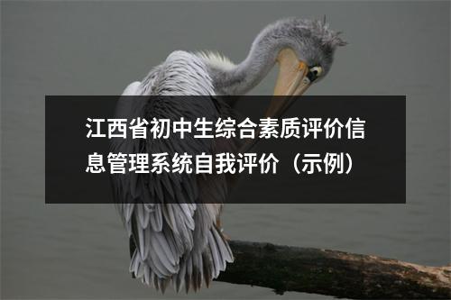 江西省初中生综合素质评价信息管理系统自我评价(示例)