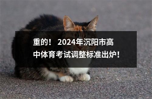 重的! 2024年沉阳市高中体育考试调整标准出炉!