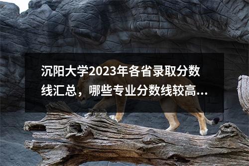 沉阳大学2023年各省录取分数线汇总,哪些专业分数线较高?