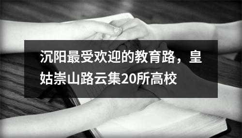 沉阳最受欢迎的教育路，皇姑崇山路云集20所高校