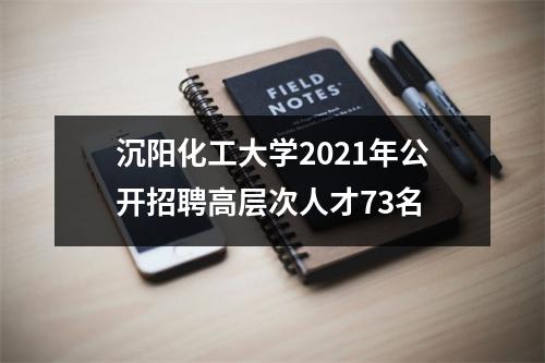沉阳化工大学2021年公开招聘高层次人才73名