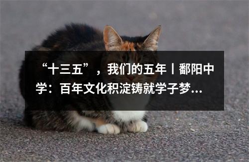 “十三五”,我们的五年丨鄱阳中学:百年文化积淀铸就学子梦想