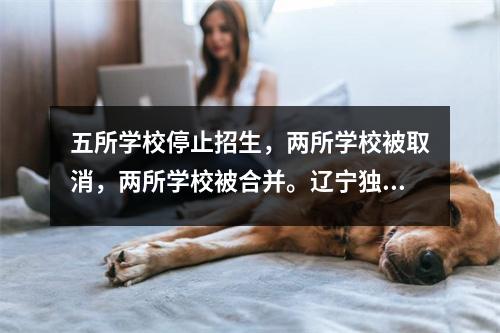 五所学校停止招生,两所学校被取消,两所学校被合并。辽宁独立学院该怎么办?