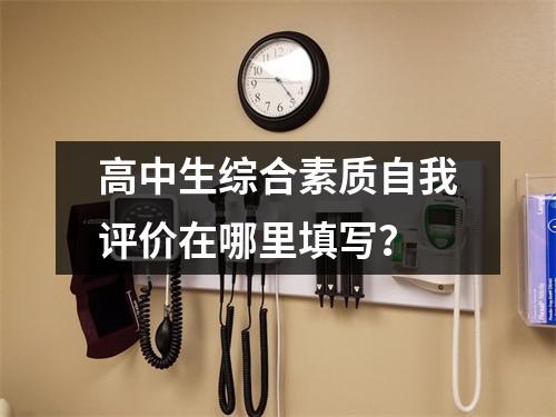 高中生综合素质自我评价在哪里填写?