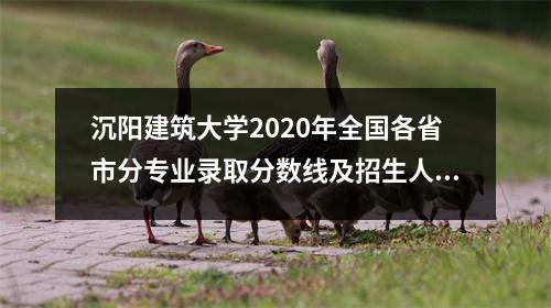 沉阳建筑大学2020年全国各省市分专业录取分数线及招生人数汇总！包含艺术