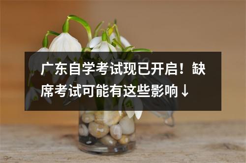 广东自学考试现已开启!缺席考试可能有这些影响↓