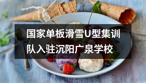 国家单板滑雪U型集训队入驻沉阳广泉学校