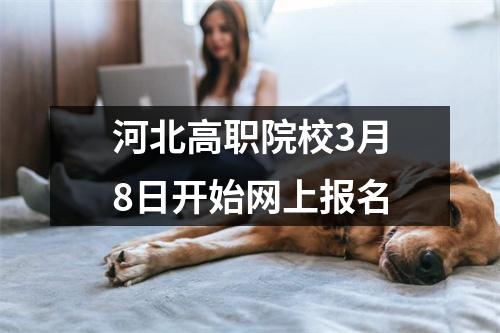 河北高职院校3月8日开始网上报名