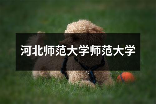 河北师范大学师范大学