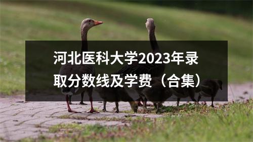 河北医科大学2023年录取分数线及学费(合集)
