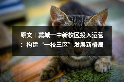 原文︱藁城一中新校区投入运营:构建“一校三区”发展新格局