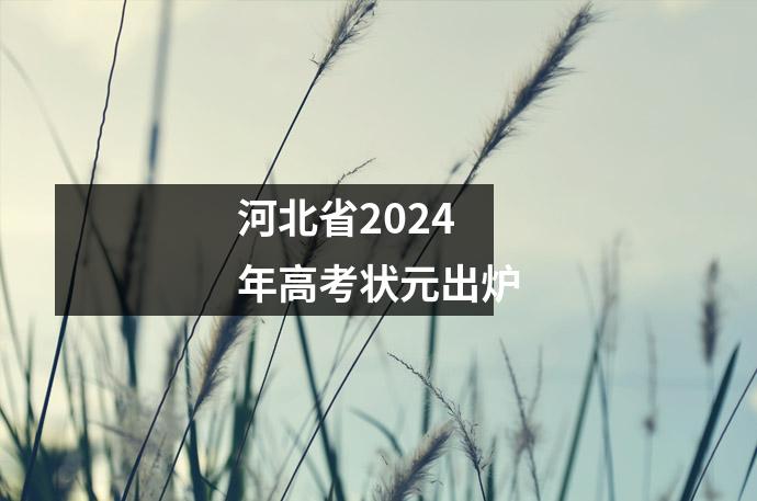 河北省2024年高考状元出炉