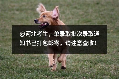 @河北考生,单录取批次录取通知书已打包邮寄,请注意查收!