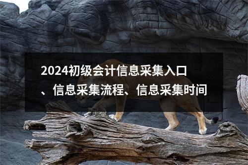 2024初级会计信息采集入口、信息采集流程、信息采集时间