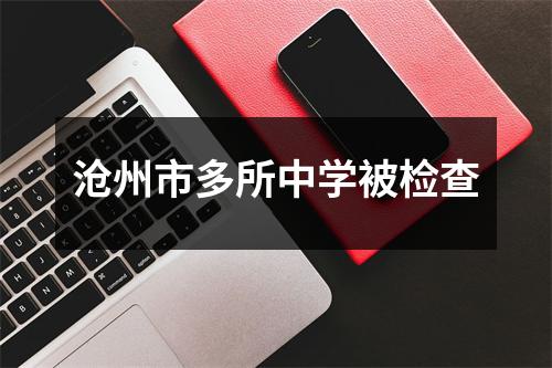 沧州市多所中学被检查