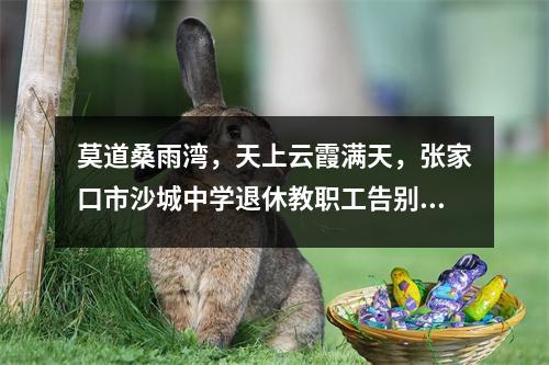 莫道桑雨湾，天上云霞满天，张家口市沙城中学退休教职工告别记录