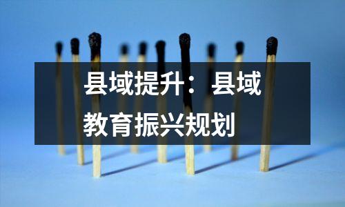 县域提升：县域教育振兴规划