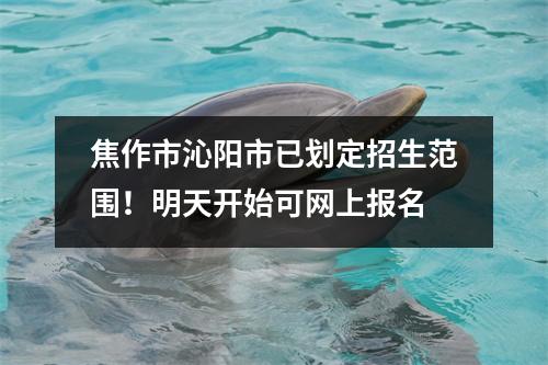 焦作市沁阳市已划定招生范围!明天开始可网上报名