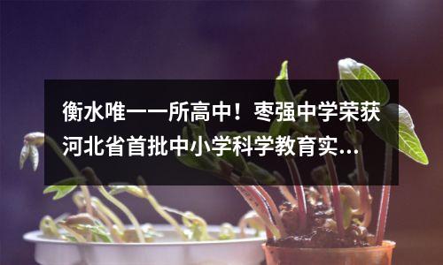 衡水唯一一所高中!枣强中学荣获河北省首批中小学科学教育实验学校