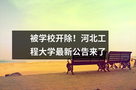 被学校开除!河北工程大学最新公告来了
