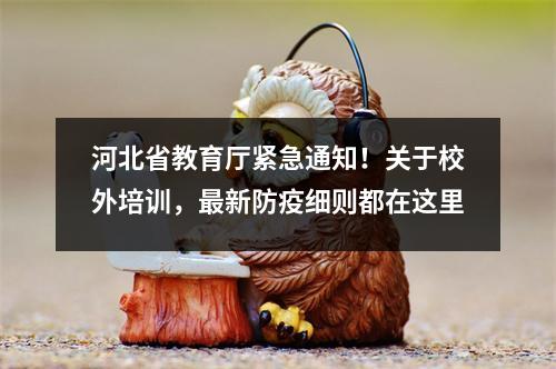 河北省教育厅紧急通知！关于校外培训，最新防疫细则都在这里
