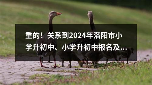重的!关系到2024年洛阳市小学升初中、小学升初中报名及抽签时间……