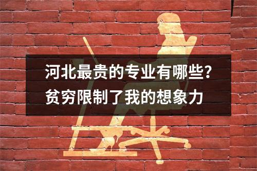 河北最贵的专业有哪些？贫穷限制了我的想象力