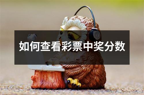 如何查看彩票中奖分数