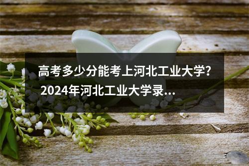 高考多少分能考上河北工业大学? 2024年河北工业大学录取分数线及排名