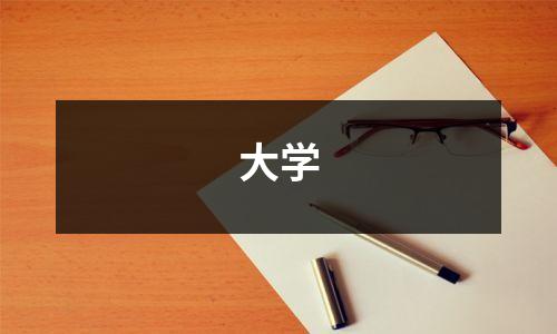 大学