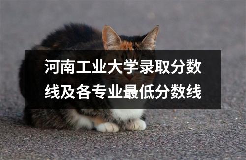 河南工业大学录取分数线及各专业最低分数线