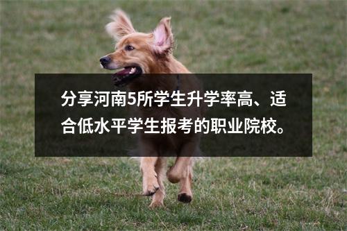 分享河南5所学生升学率高、适合低水平学生报考的职业院校。