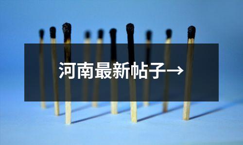河南最新帖子→