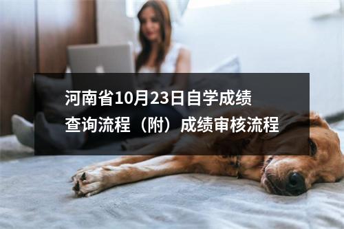 河南省10月23日自学成绩查询流程(附)成绩审核流程