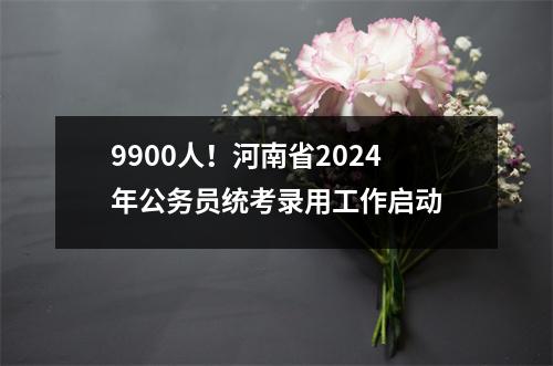 9900人!河南省2024年公务员统考录用工作启动