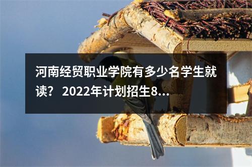 河南经贸职业学院有多少名学生就读? 2022年计划招生8,100名学生