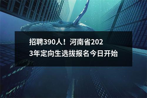 招聘390人!河南省2023年定向生选拔报名今日开始