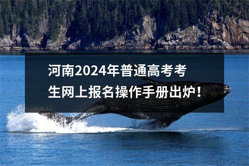 河南2024年普通高考考生网上报名操作手册出炉!