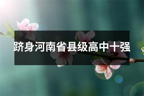 跻身河南省县级高中十强