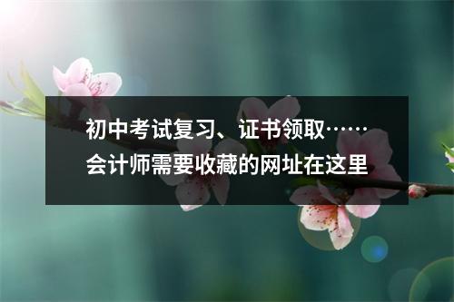 初中考试复习、证书领取……会计师需要收藏的网址在这里