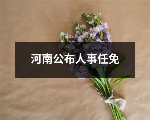河南公布人事任免