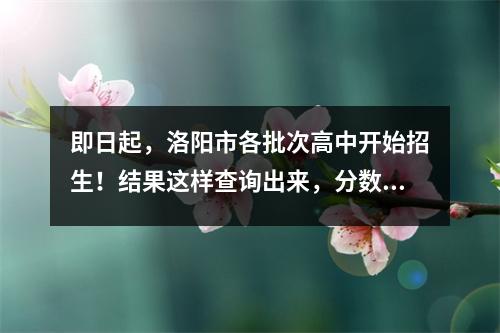 即日起，洛阳市各批次高中开始招生！结果这样查询出来，分数线也是……