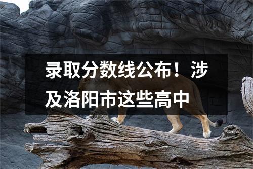 录取分数线公布!涉及洛阳市这些高中