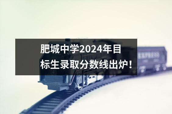 肥城中学2024年目标生录取分数线出炉!