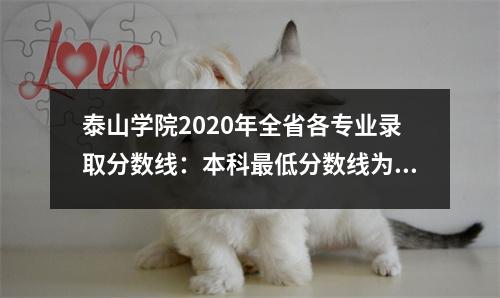 泰山学院2020年全省各专业录取分数线:本科最低分数线为478分