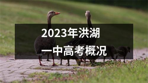 2023年洪湖一中高考概况