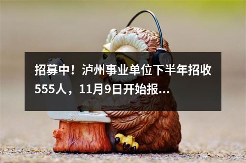 招募中!泸州事业单位下半年招收555人,11月9日开始报名!